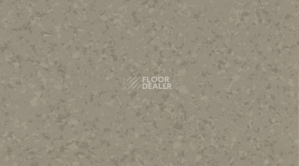 Линолеум Mipolam Symbioz 6043 WOOD фото 1 | FLOORDEALER